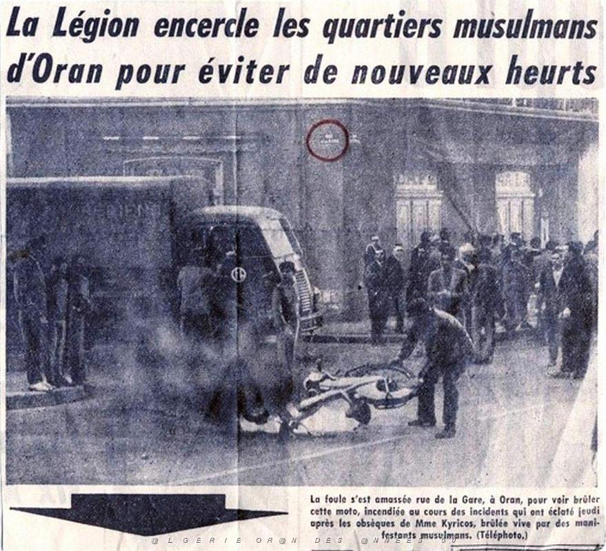 Oran- SDV- 7443.JPG